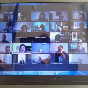 Planificarea, organizarea și coordonarea activității instituției de învățământ general